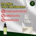 【KATA ORGANIC】Tea Tree Refining Ultra Calm Toner Mist Anti Aging Anti UV Anti Wrinkle Alcohol Free Toner Mist 爽肤水 收缩毛孔 抗老 / 220ML Malaysia Cosmetic's Company